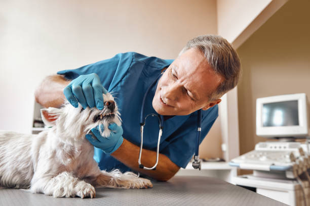Best Emergency Treatment for Oral Infections in Riviera Beach, MD